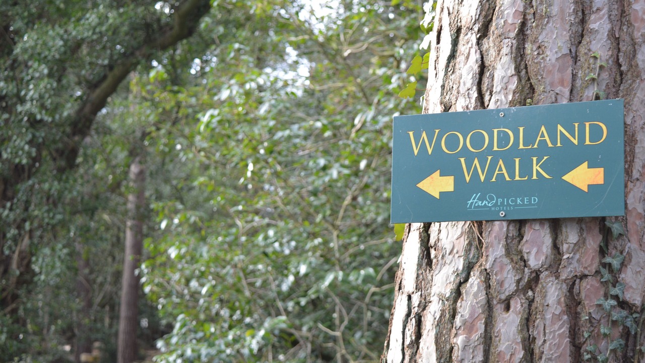 Photo of Outdoor in Crathorne