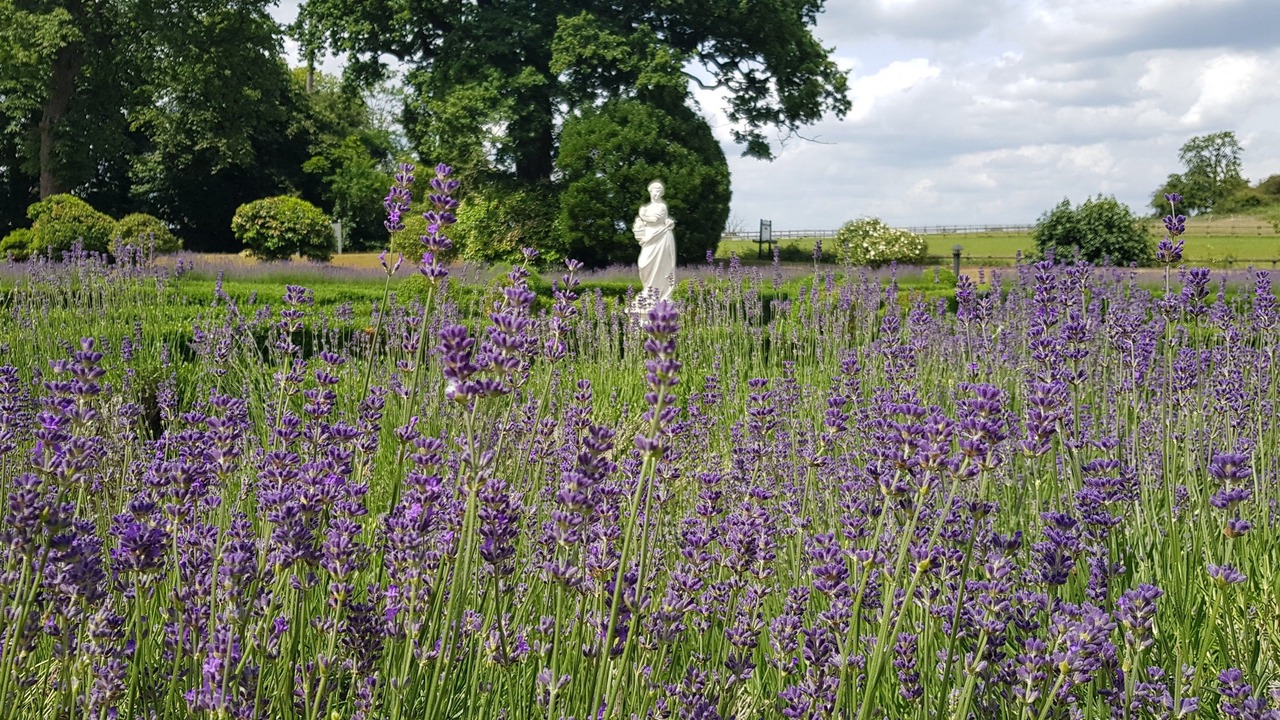 Photo of Outdoor in Cobham