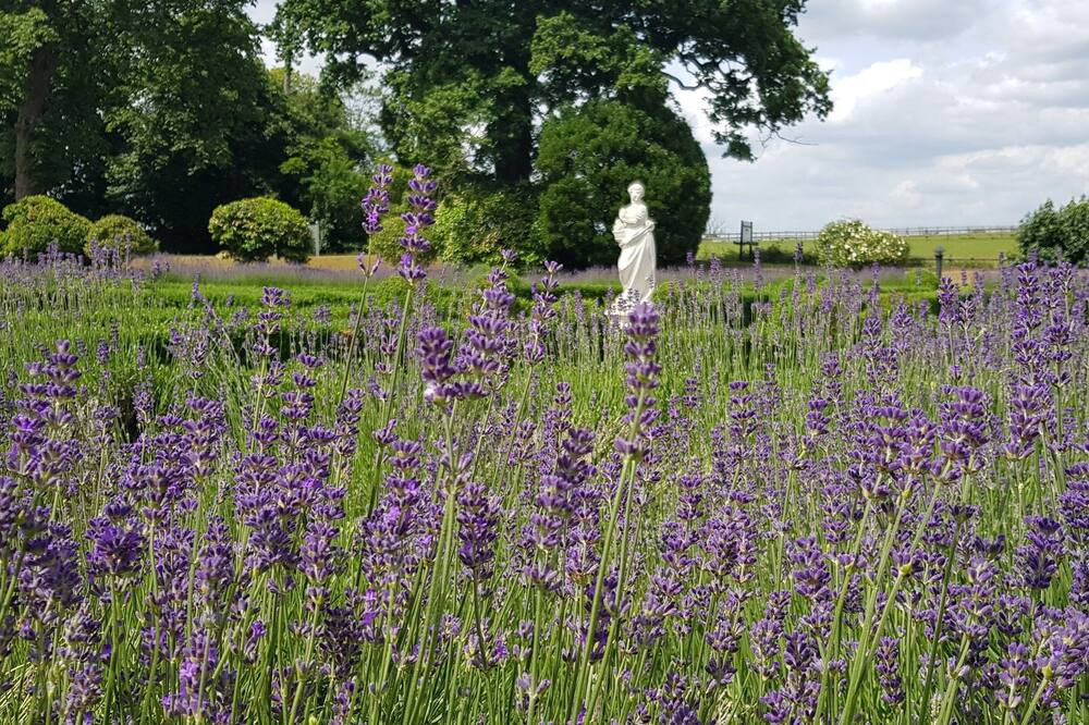 Photo of Outdoor in Cobham