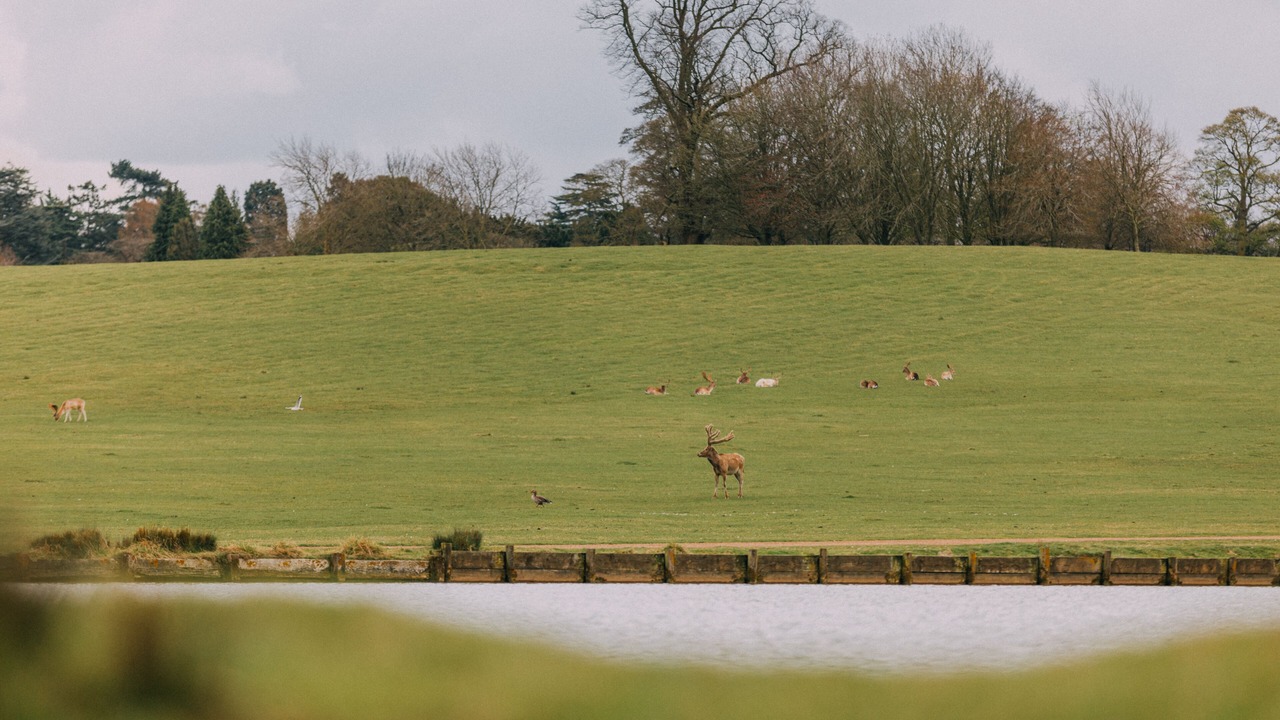 Photo of Outdoor in Woburn