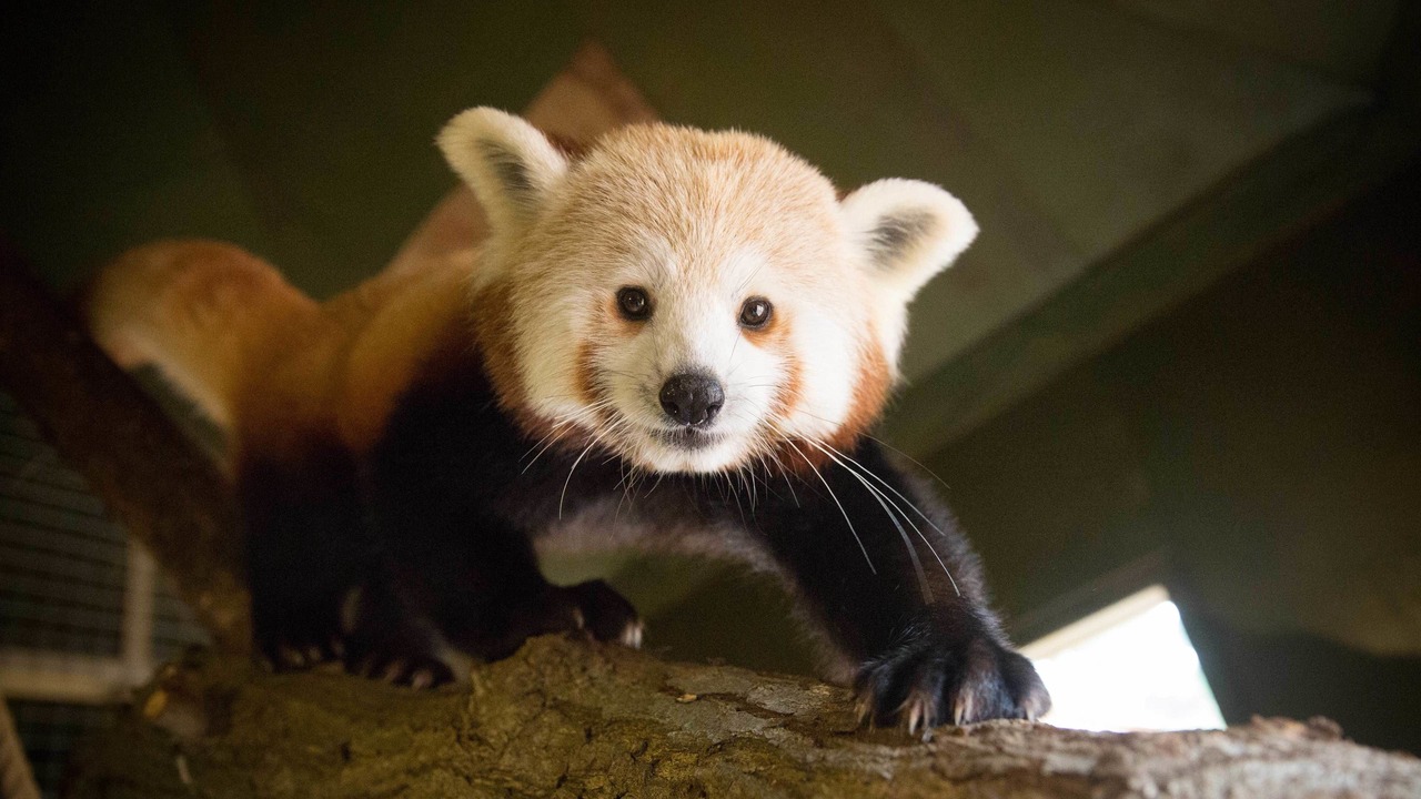 Photo of Others in Woburn