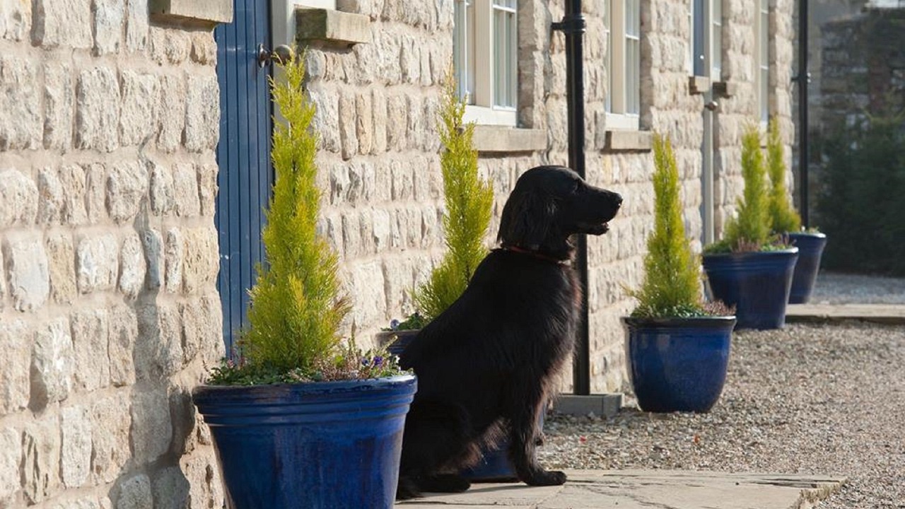 Photo of Outdoor in Pickering