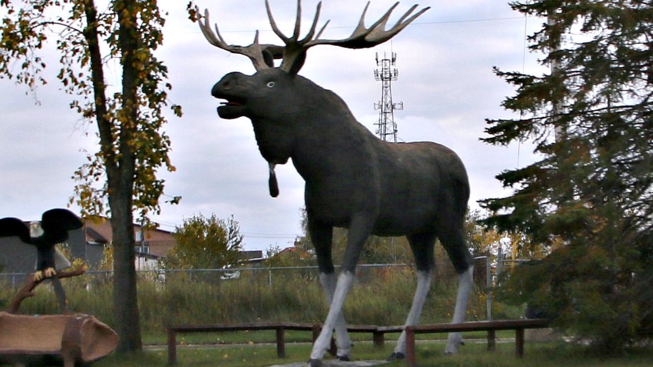 Photo of Others in Dryden