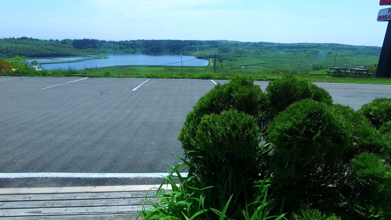 Photo of Others in Saint John