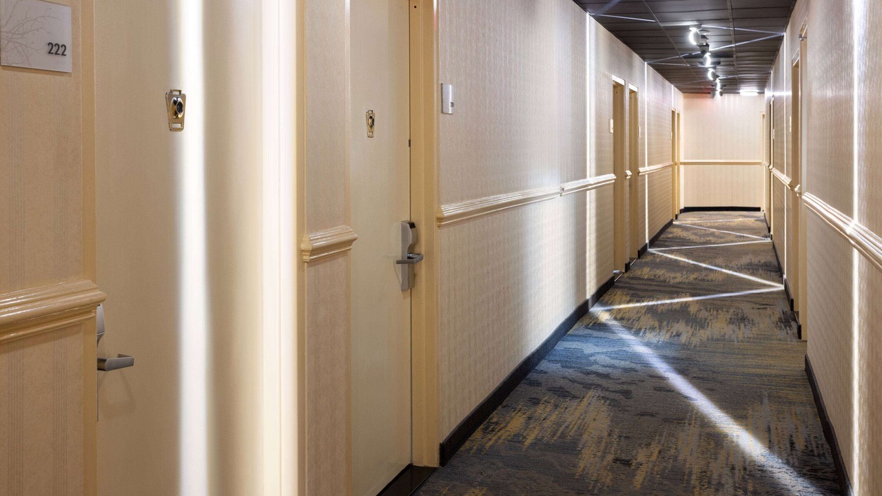 Photo of Others in Co-op City