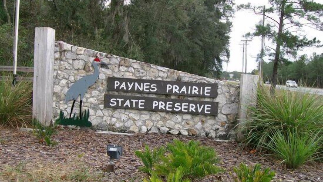 Photo of Others in Micanopy