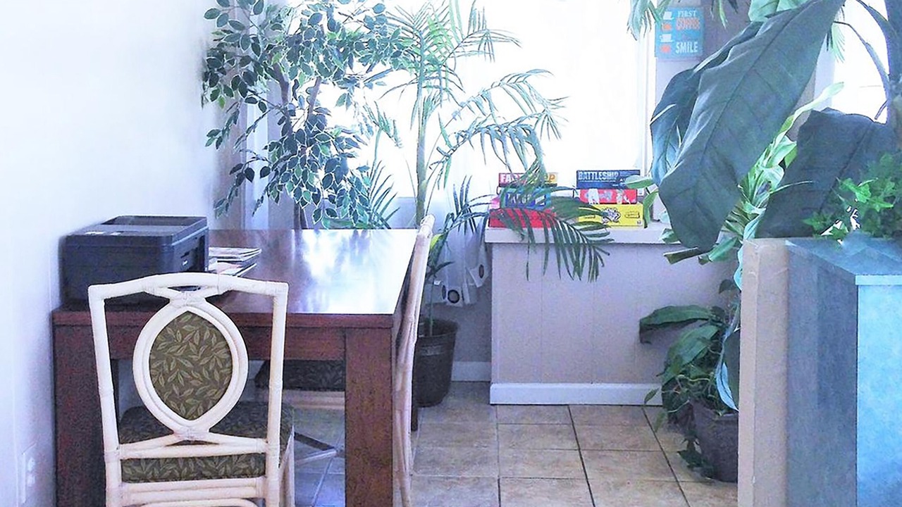 Photo of Others in Micanopy