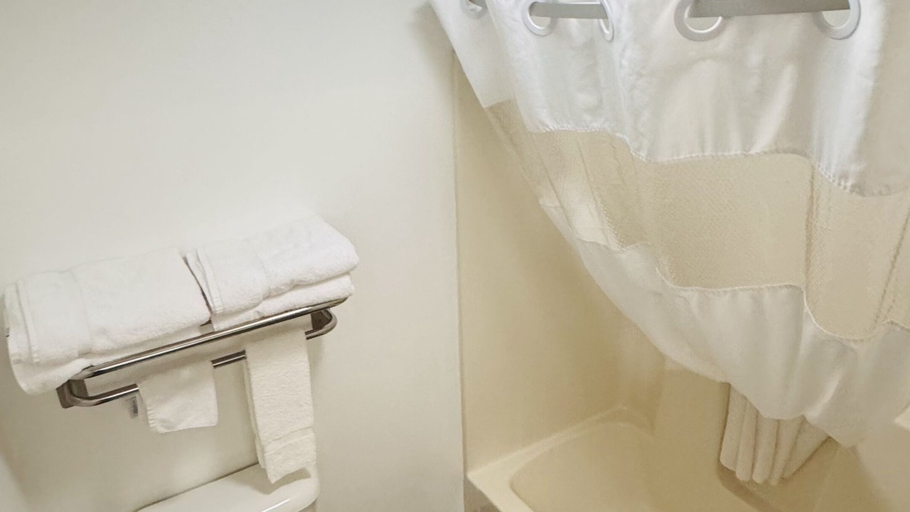 Photo of Others in Forest City