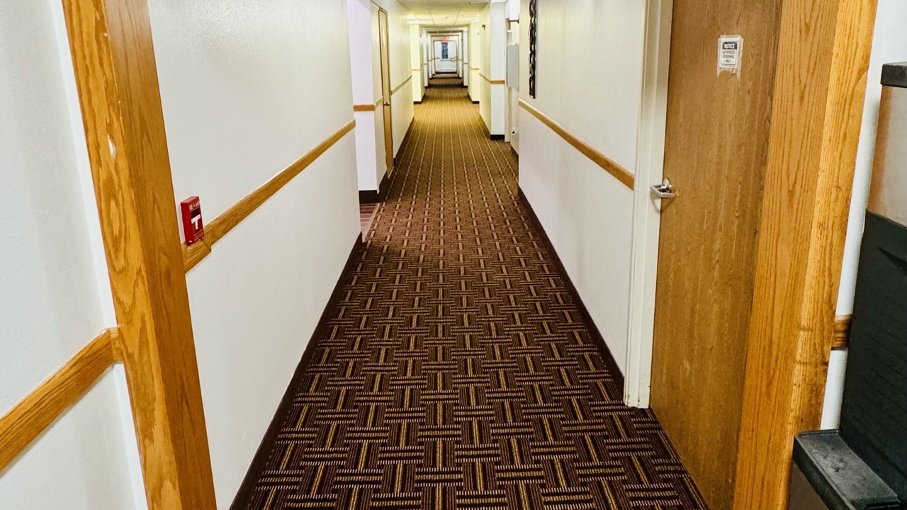 Photo of Outdoor in Forest City