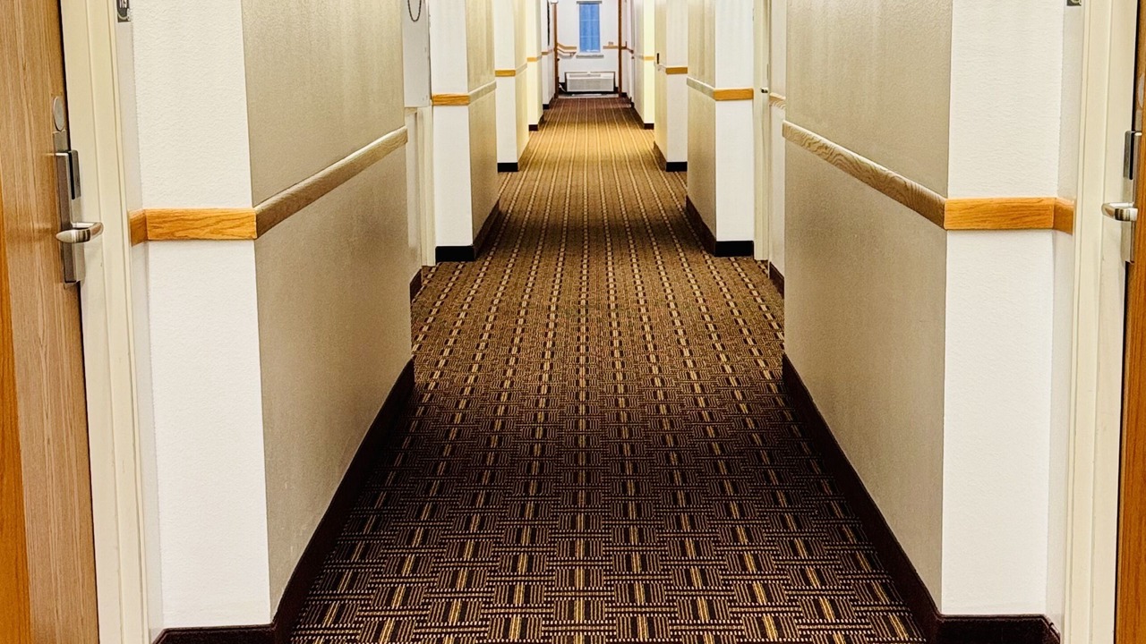 Photo of Outdoor in Forest City