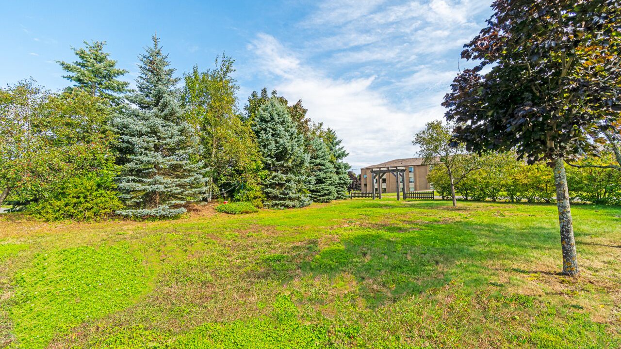 Photo of Outdoor in New Minas