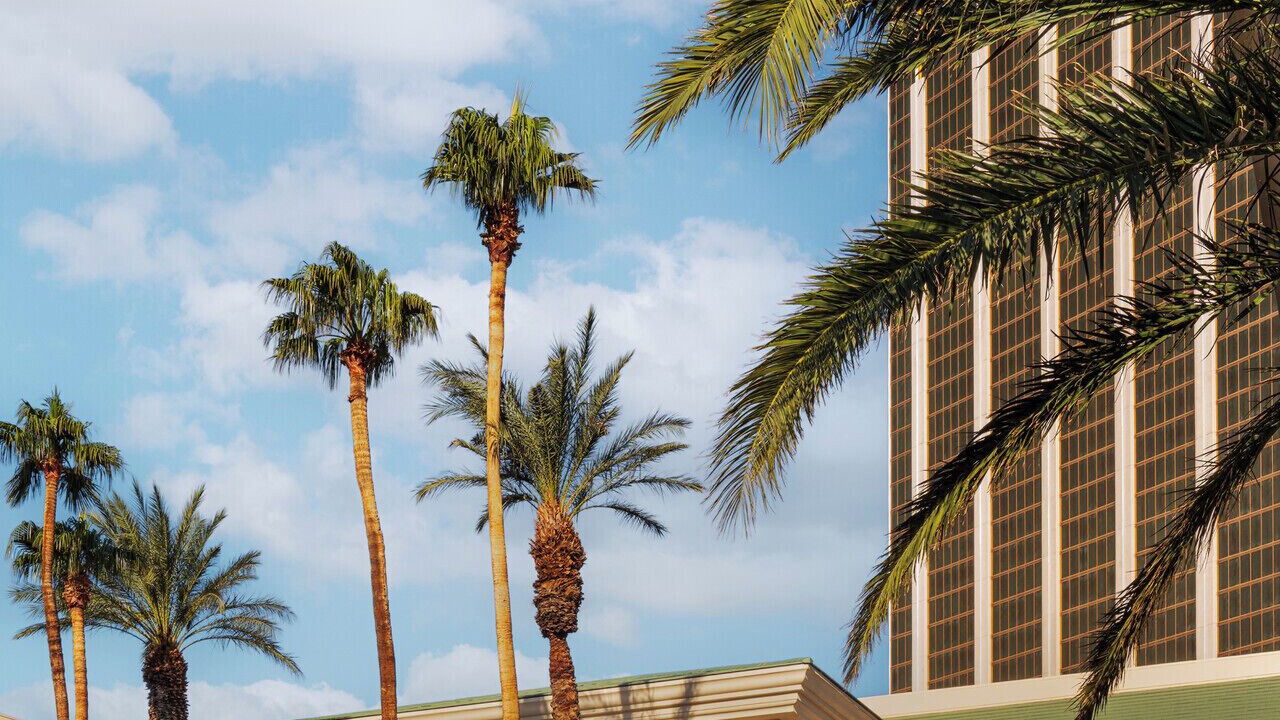 Photo of Outdoor in Las Vegas Strip