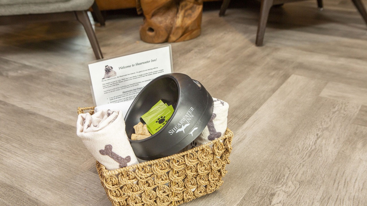 Photo of Others in Lincoln City