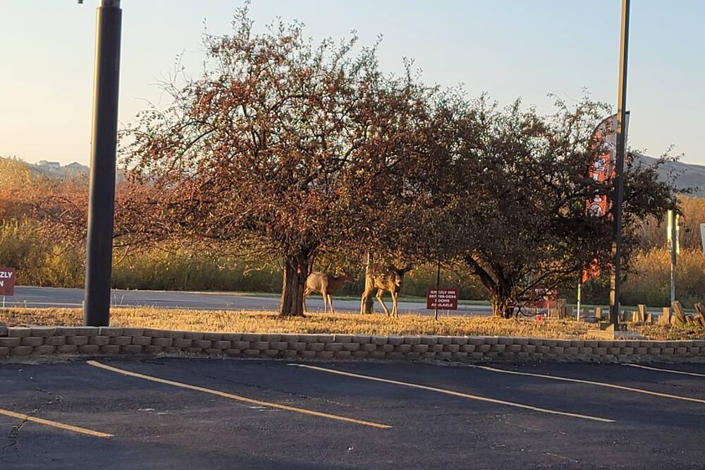 Photo of Outdoor in Evanston