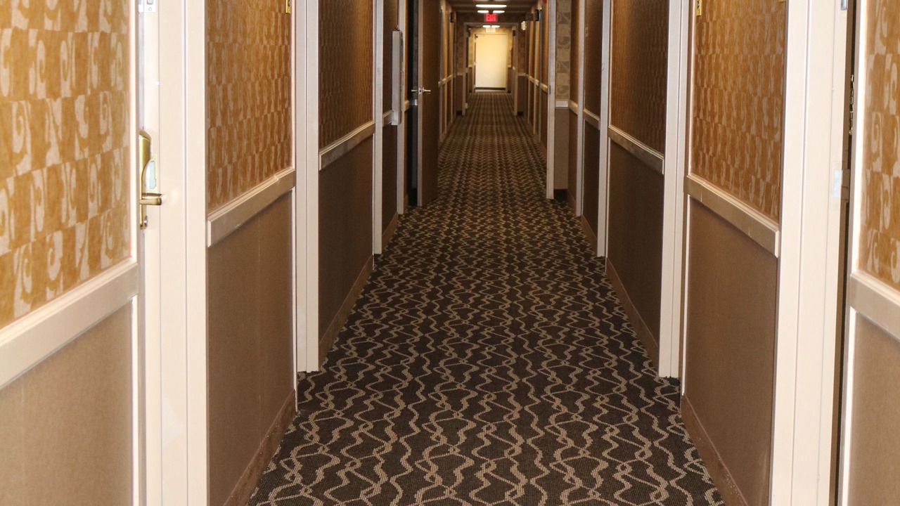 Photo of Others in Plattsburgh