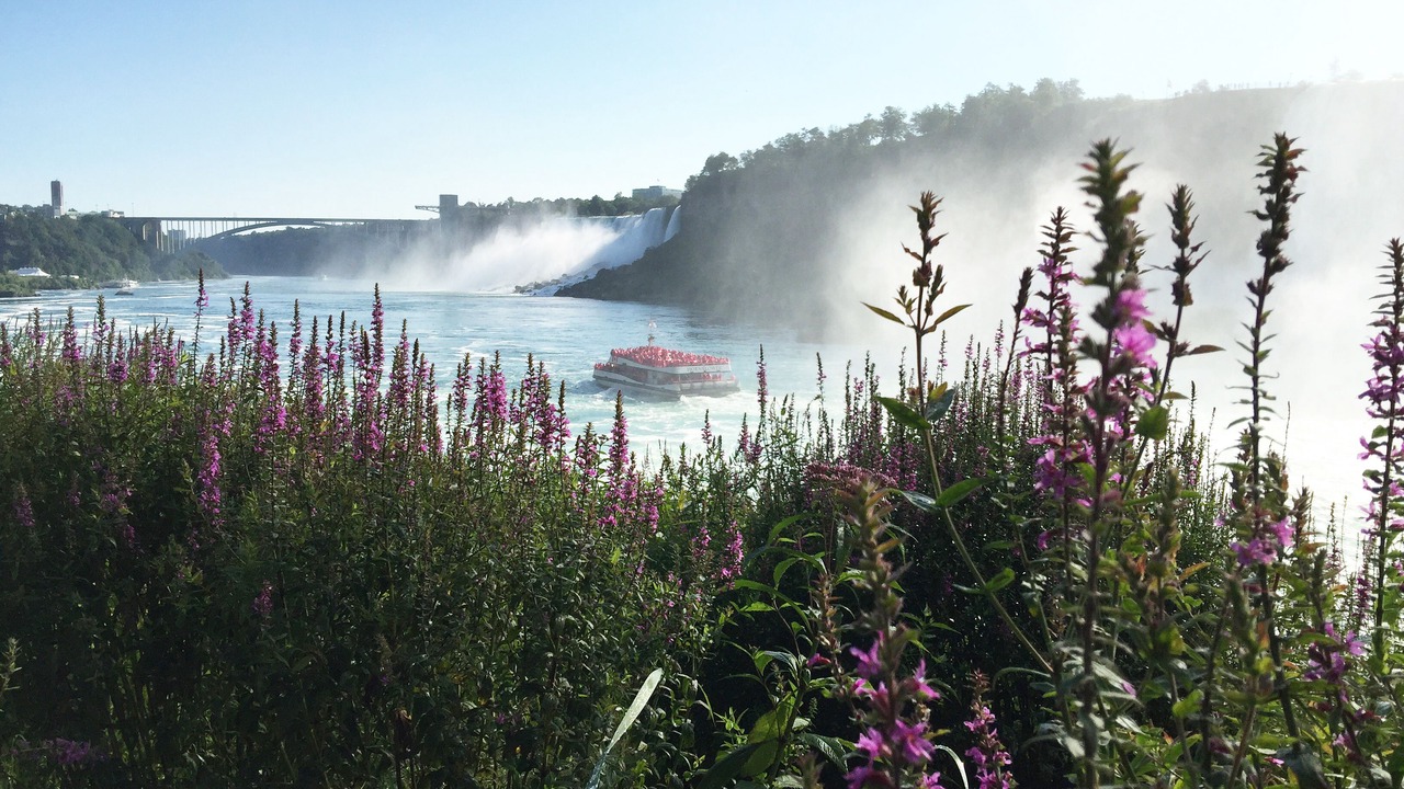 Photo of Others in Niagara Falls