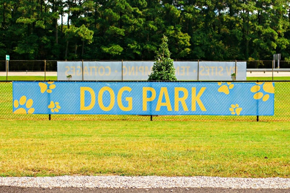 Photo of Others in Cape Charles