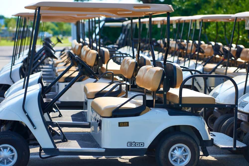 Photo of Others in Cape Charles