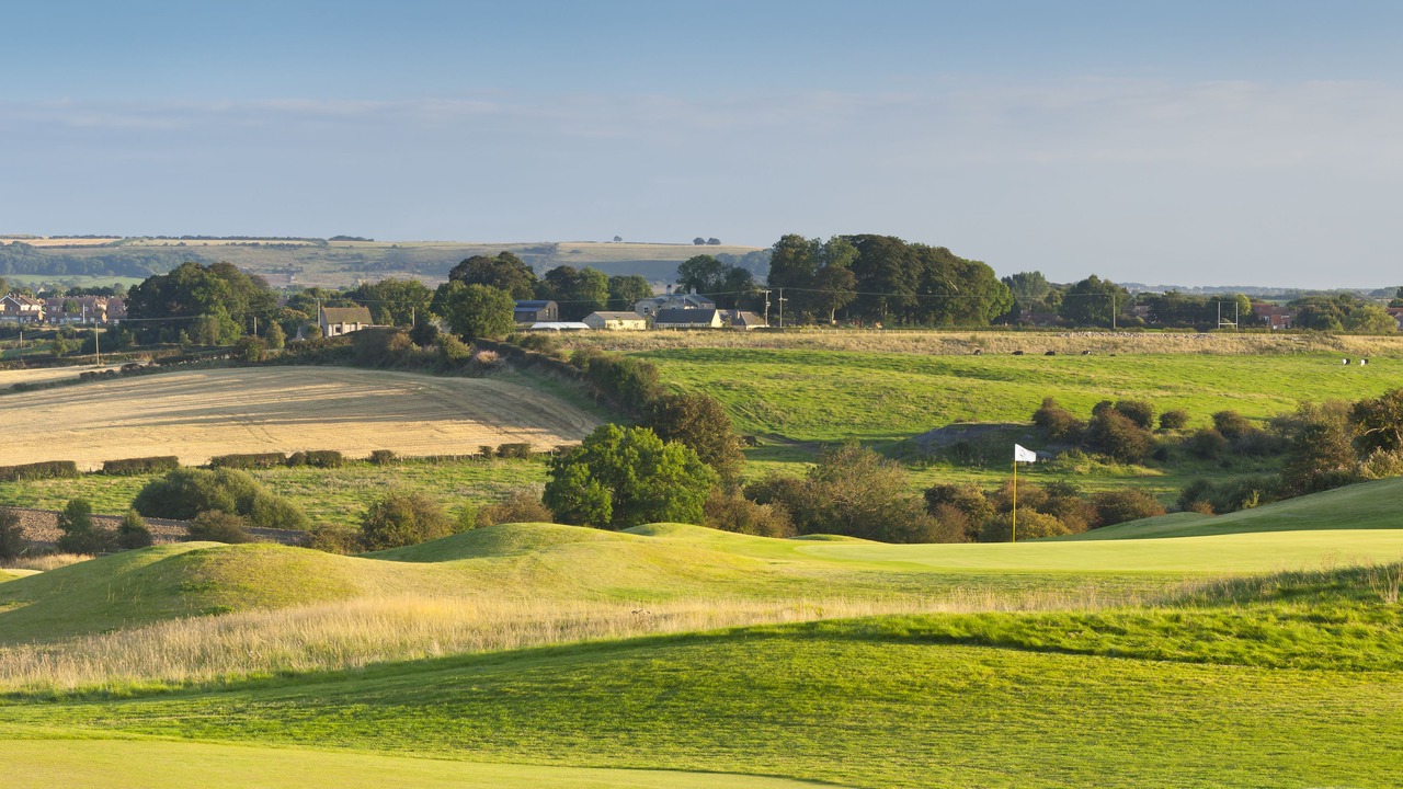 Photo of Others in Carrville