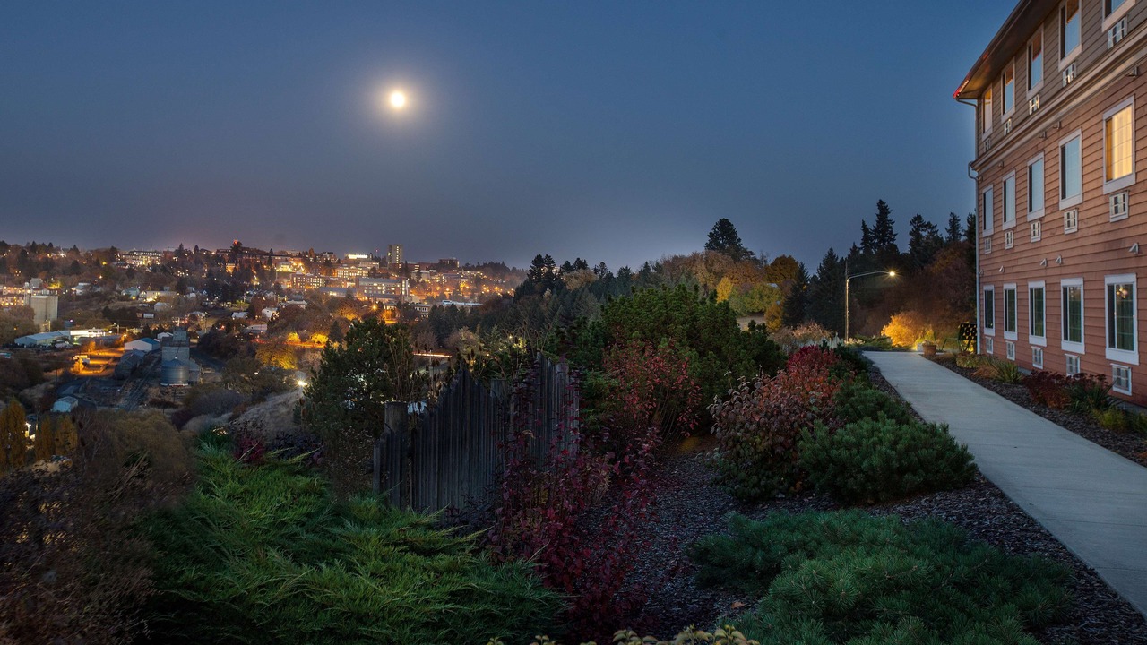 Photo of Bedroom in Pullman