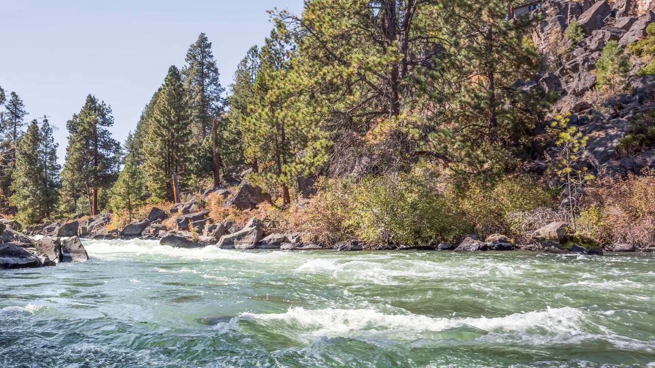 Photo of Others in Old Farm District