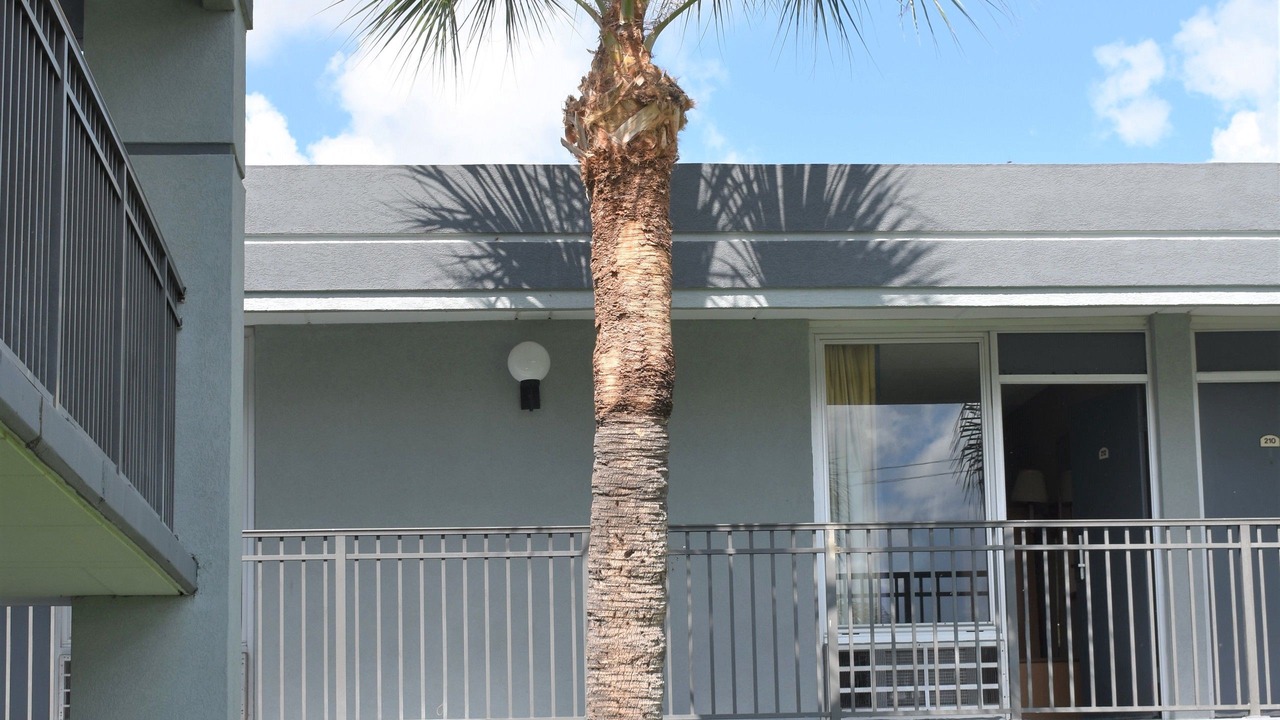 Photo of Outdoor in Ocala