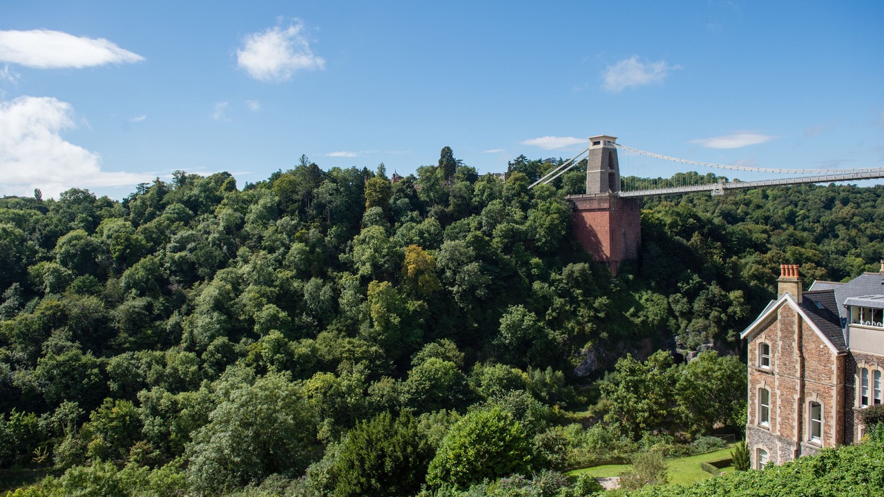 Photo of Others in Clifton