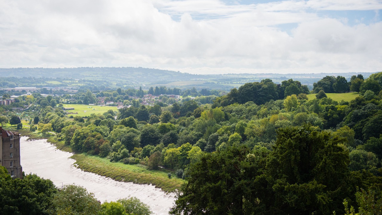 Photo of Others in Clifton