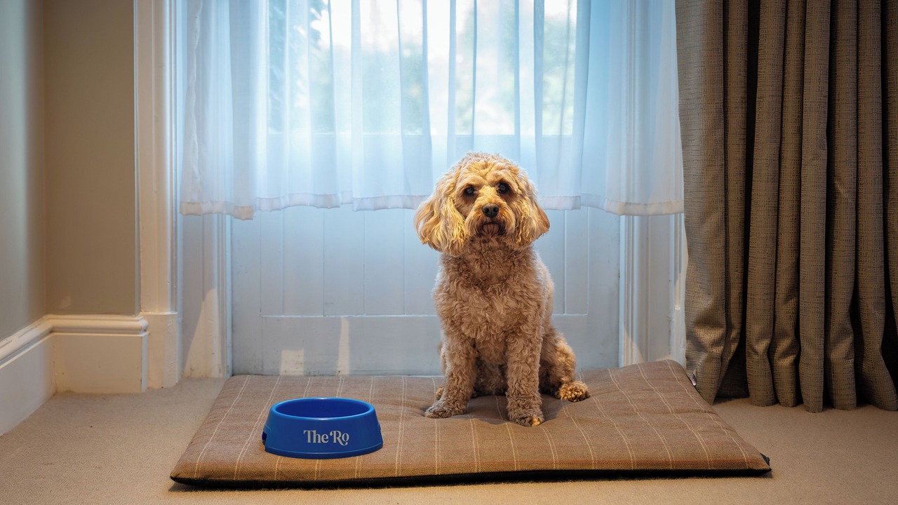 Photo of Bedroom in Bowness-on-Windermere
