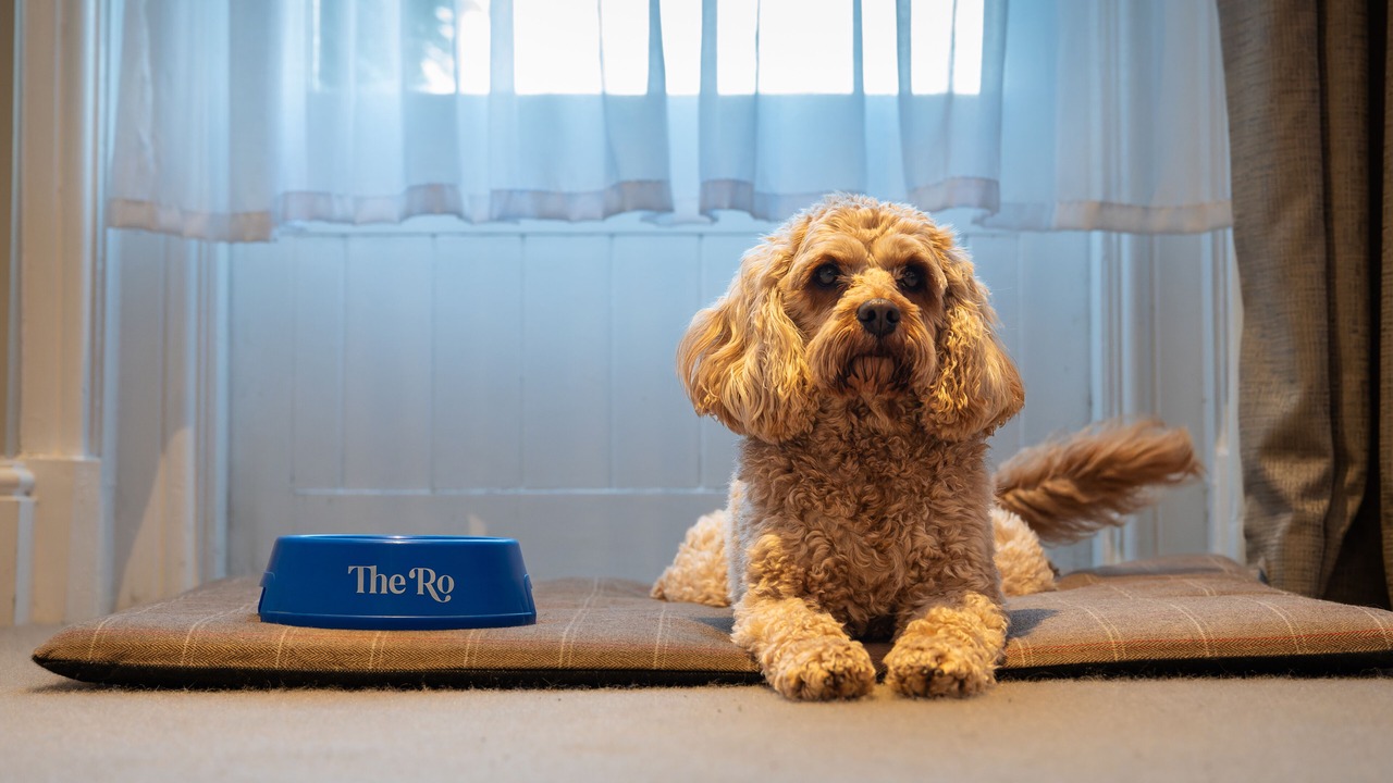 Photo of Bedroom in Bowness-on-Windermere