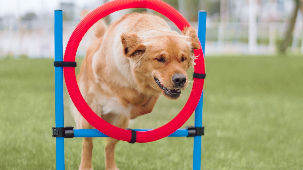 Photo of Others in La Baule-Escoublac