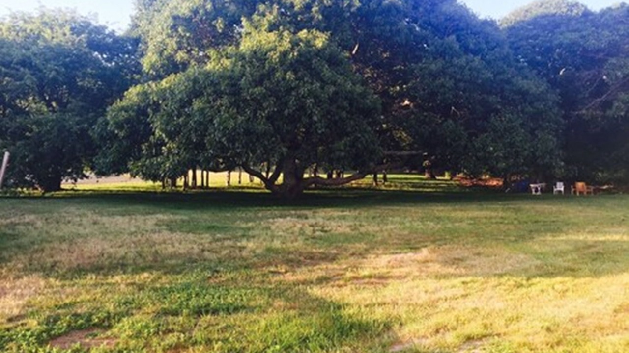 Photo of Outdoor in Tuckahoe