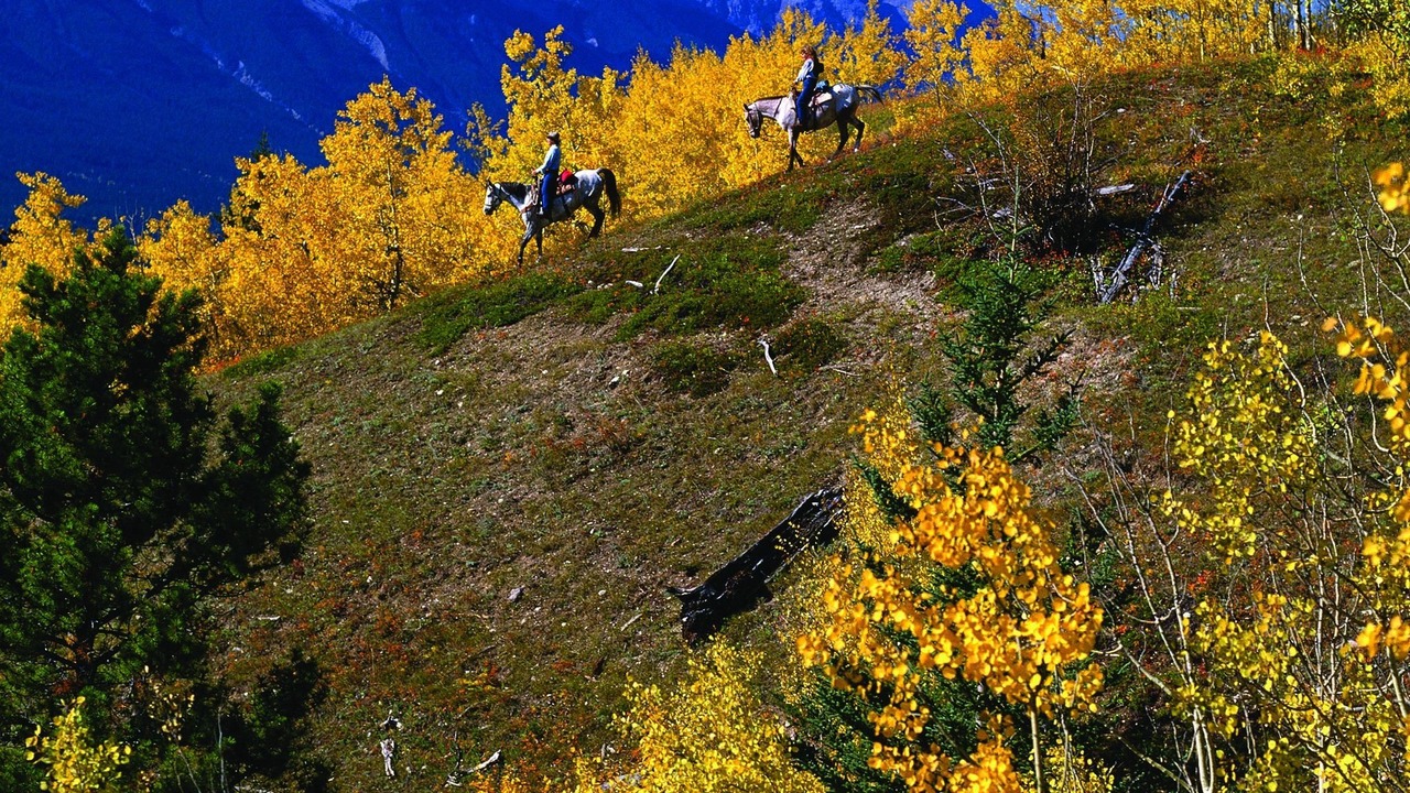 Photo of Others in Downtown Calgary