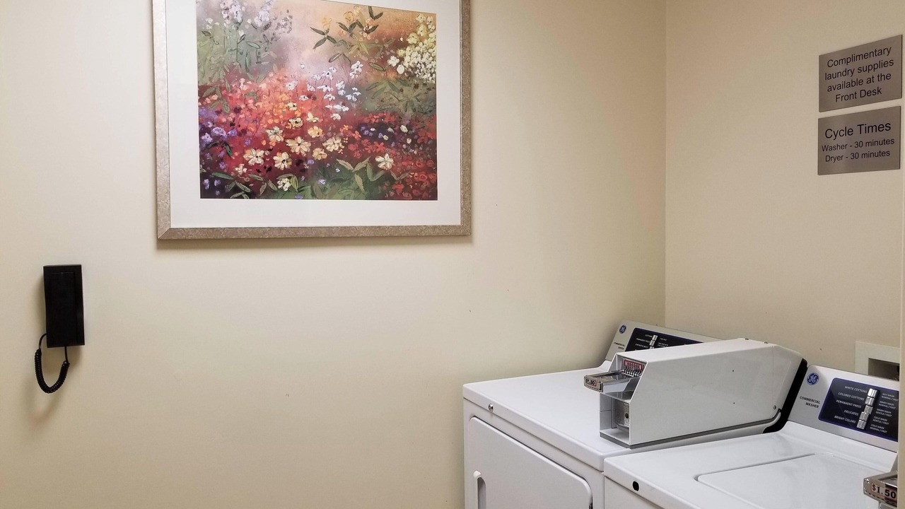 Photo of Others in Binghamton