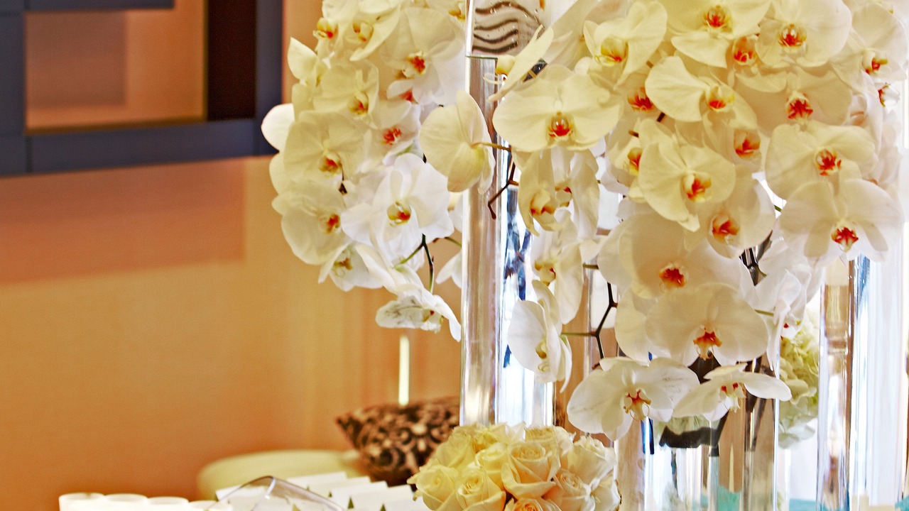 Photo of Others in Fremont