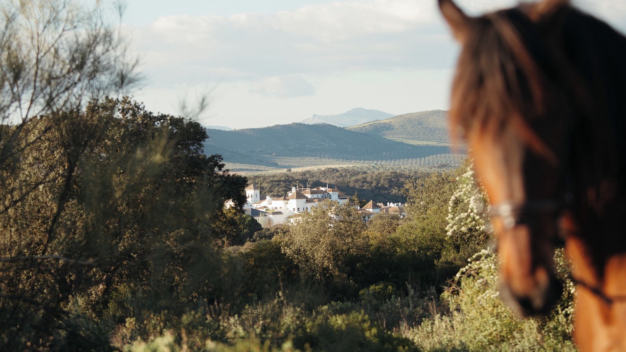 Photo of Outdoor in La Bobadilla