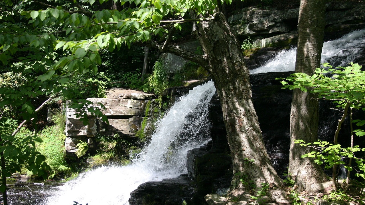 Photo of Outdoor in Skytop