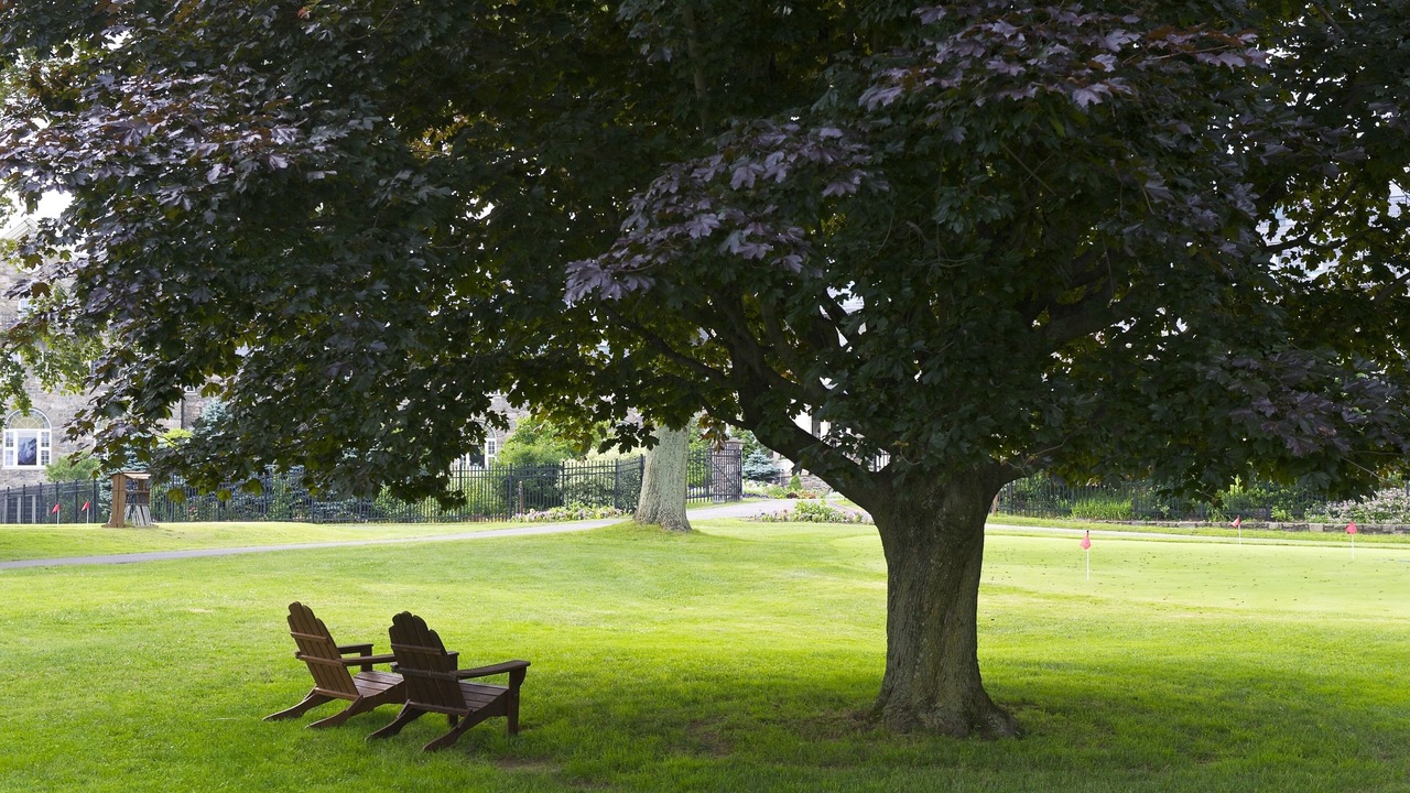 Photo of Outdoor in Skytop