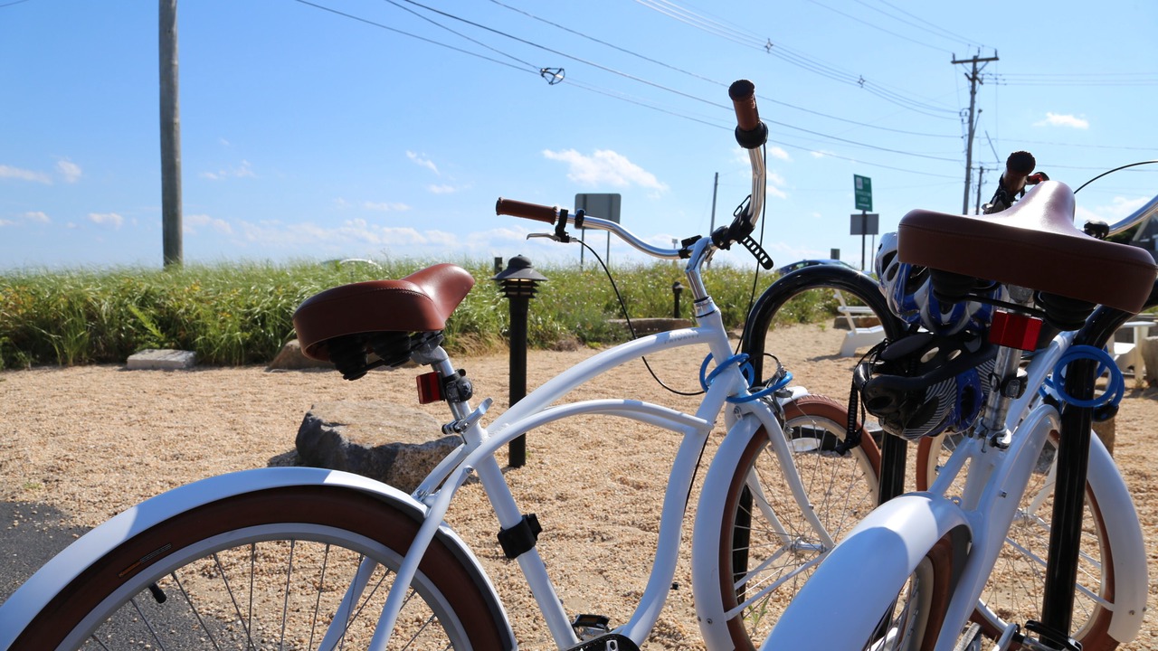Photo of Outdoor in Provincetown