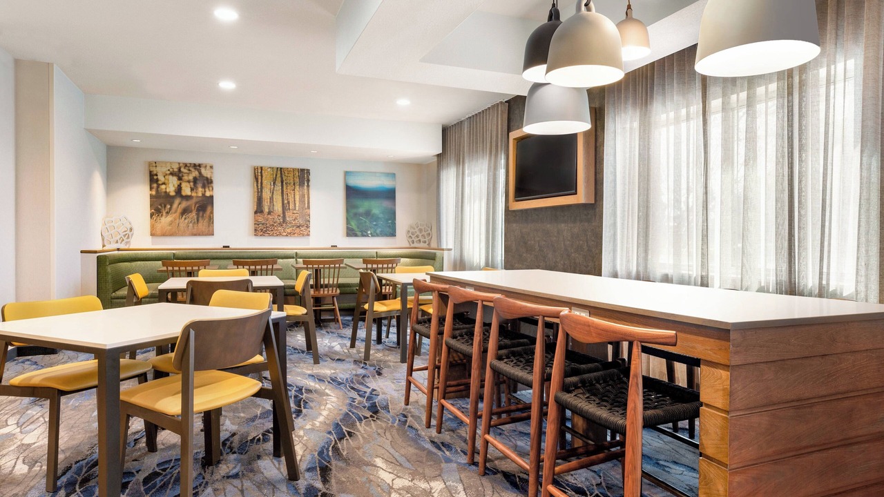 Photo of Others in Nut Tree