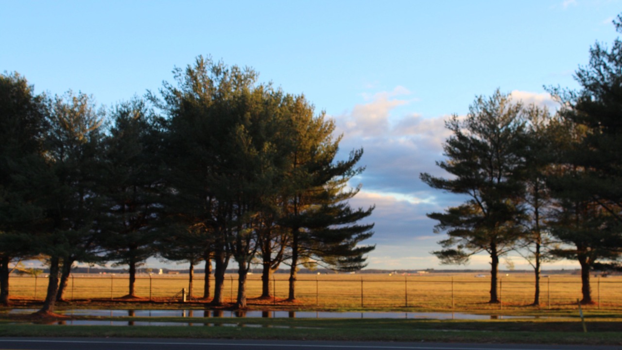 Photo of Others in Wrightstown