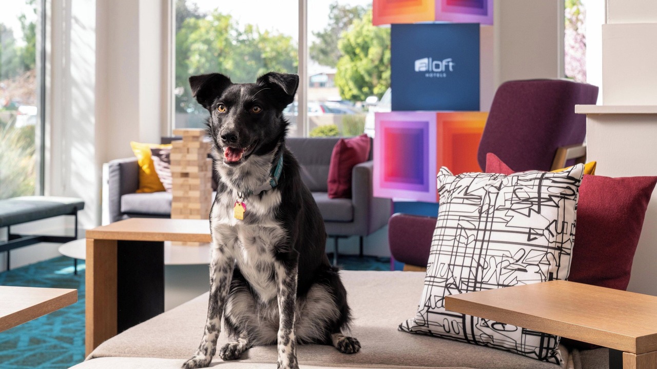 Photo of Others in Mountain View