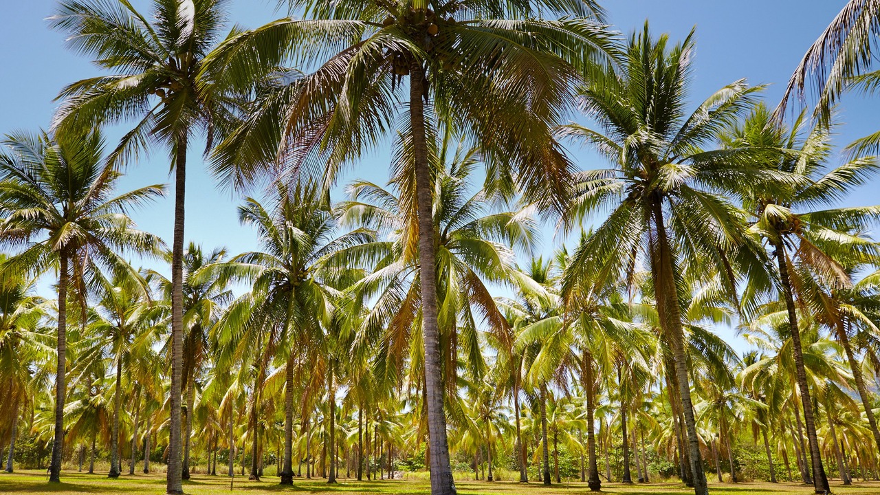 Photo of Outdoor in Oak Beach