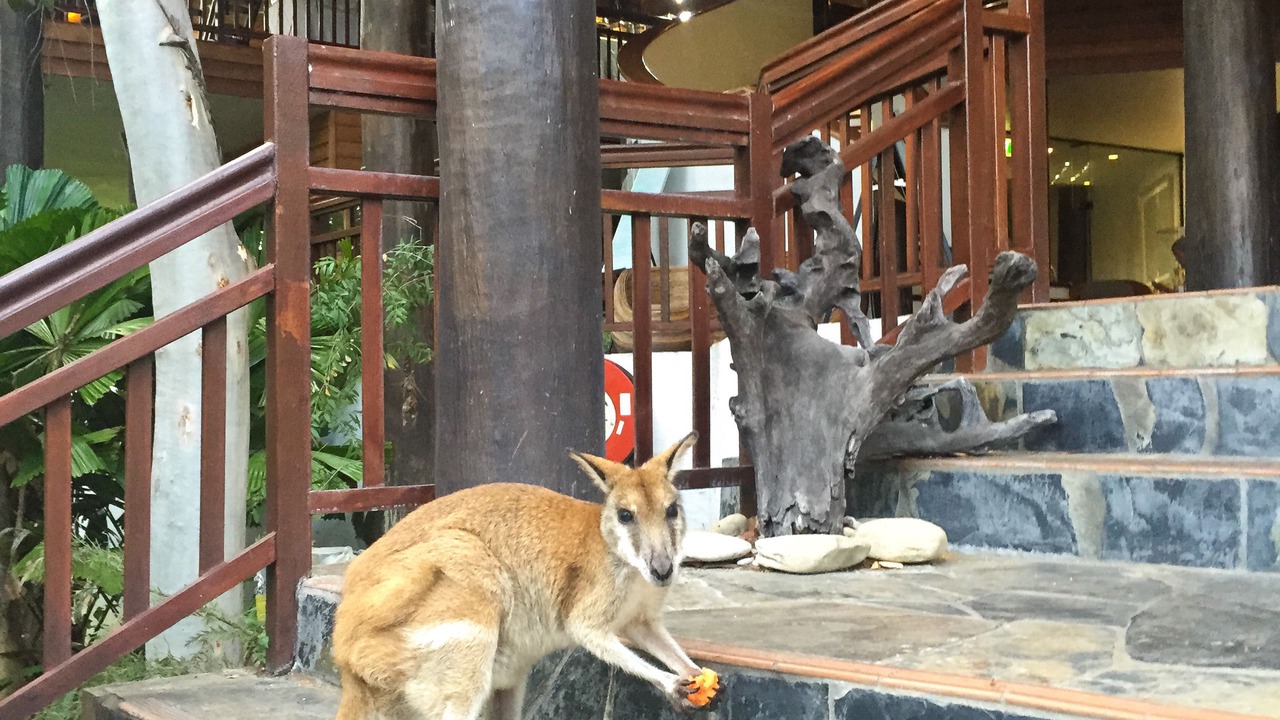 Photo of Outdoor in Oak Beach