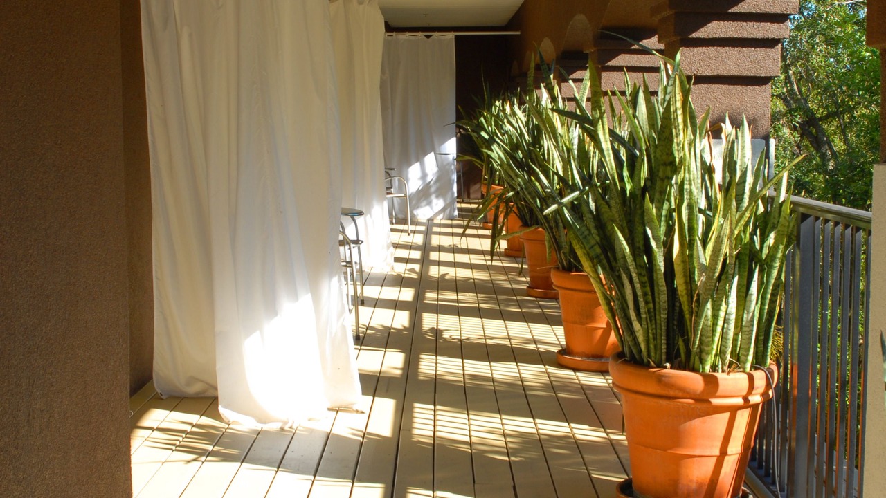Photo of Patio Balcony in South Eola