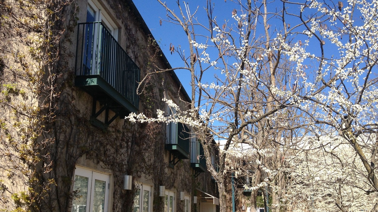 Photo of Bedroom in St. Helena
