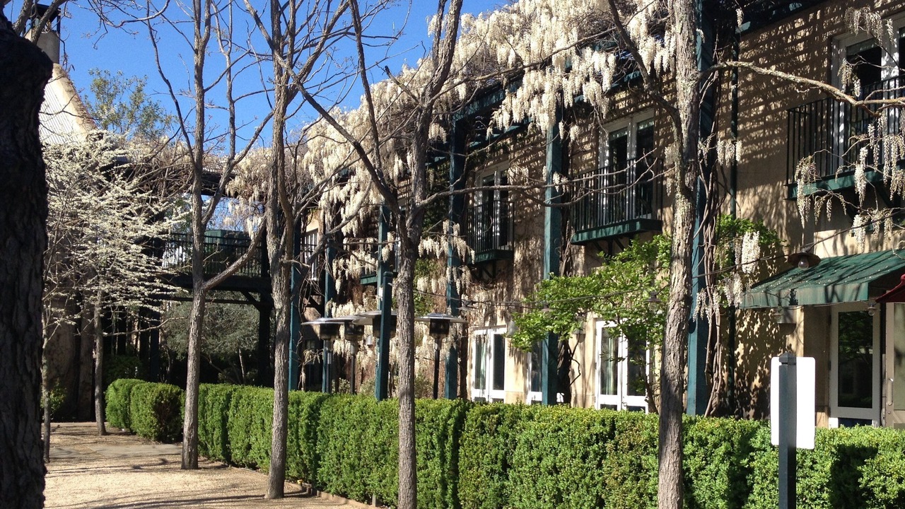 Photo of Outdoor in St. Helena