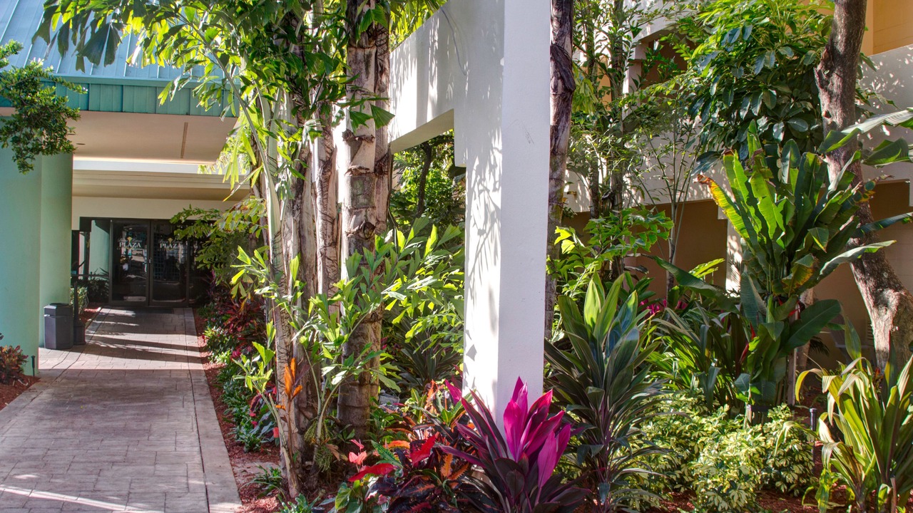 Photo of Outdoor in East Boca Raton