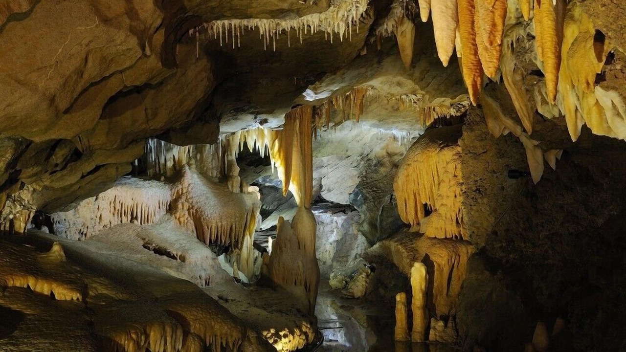 Photo of Others in Lakes Entrance