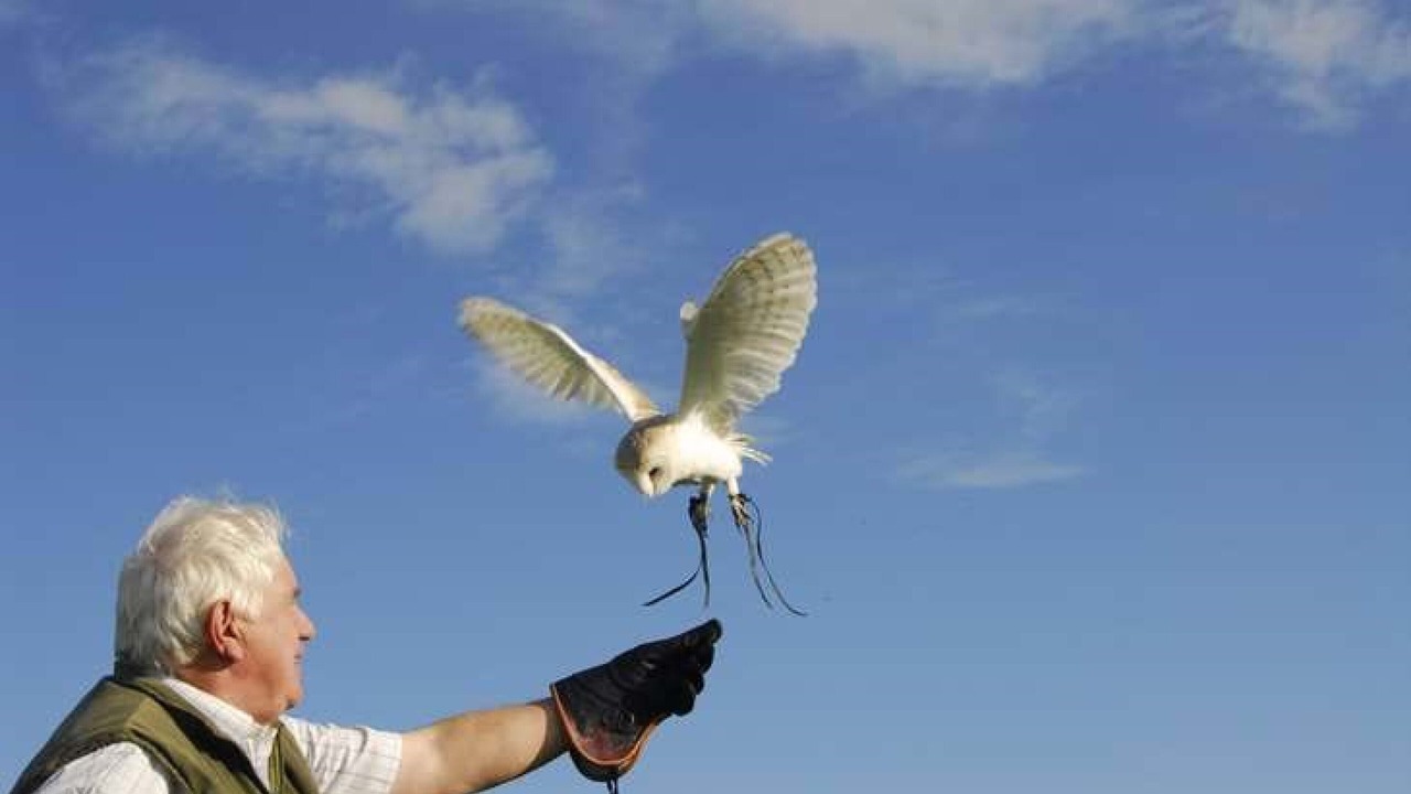 Photo of Others in Broadway